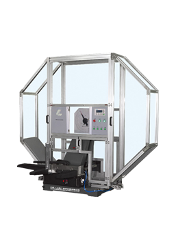 一定发集团（LSI）