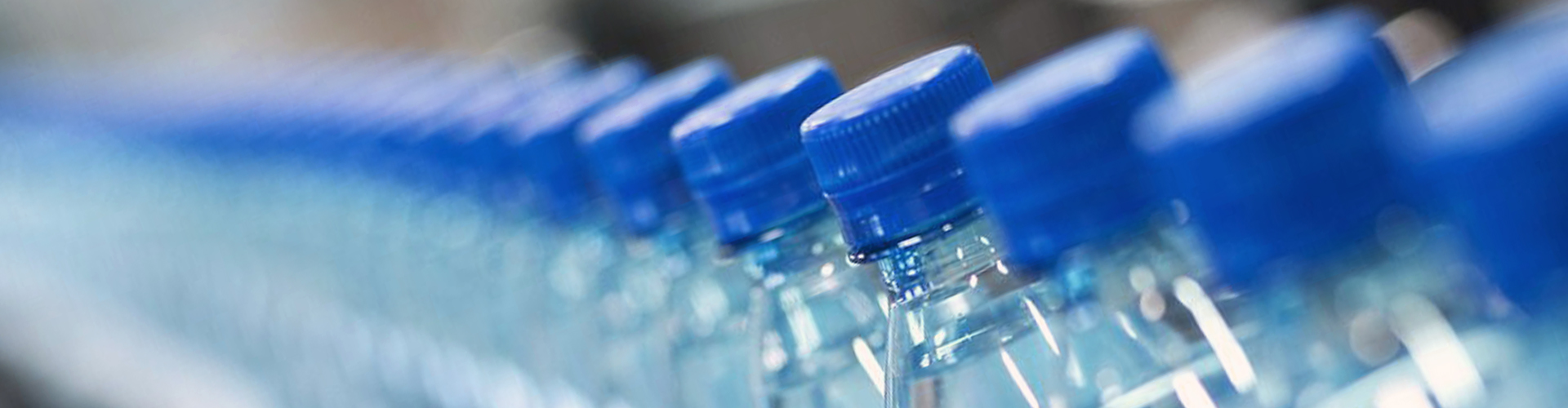 一定发集团（LSI）